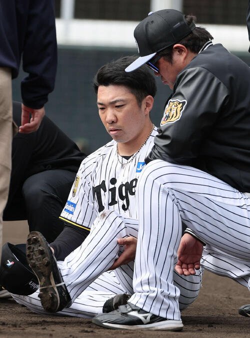 石井大智(2026年2月撮影)