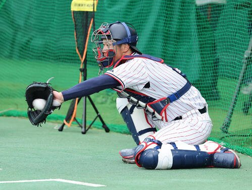 ヤクルト古賀優大(2026年2月撮影)