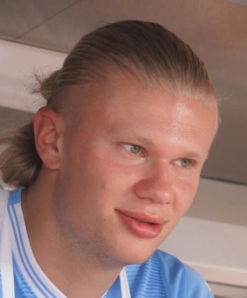 ハーランド(2023年7月撮影)