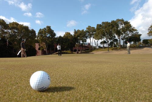 ゴルフニュース