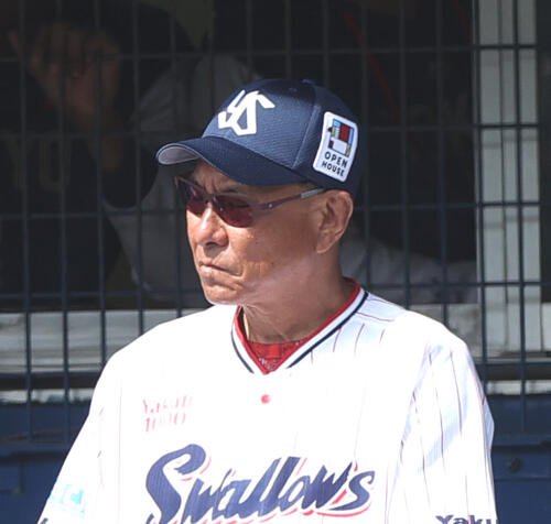 ヤクルト池山監督(2026年撮影)