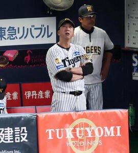 阪神対日本　4回裏、ベンチから戦況を伺う阪神藤川監督(撮影･加藤哉)
