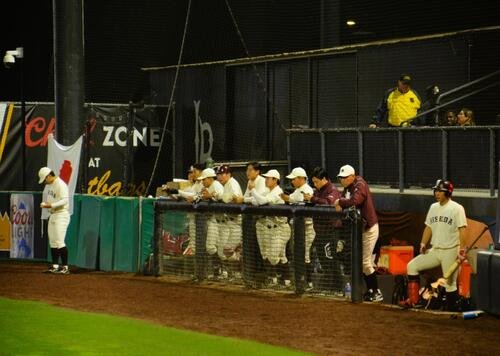 ベンチで戦況を見つめる早大･小宮山監督(右から2人目)