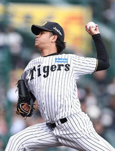 阪神対ソフトバンク　阪神2番手の高橋(撮影･前田充)