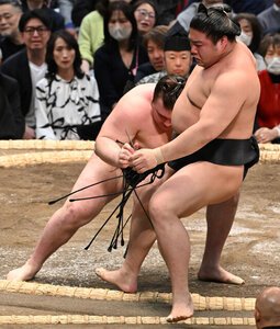 安青錦(左)は寄り切りで若元春を破る＝滝沢美穂子撮影