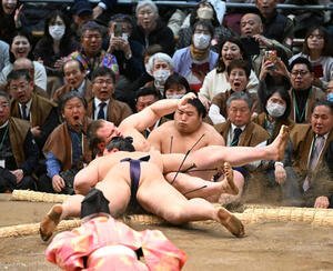 安青錦(奥)は寄り倒しで義ノ富士に敗れる(撮影･和賀正仁)