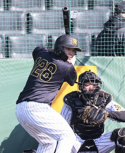 打撃練習をする嶋村(撮影･上田博志)