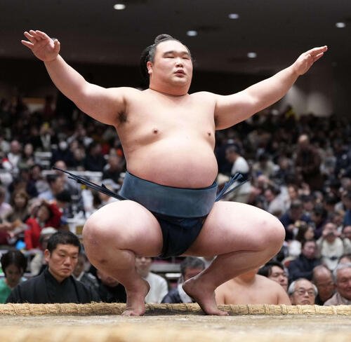 白熊(2026年1月撮影)