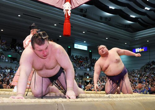 美ノ海(右)は安青錦を寄り倒しで破る(撮影･上山淳一)