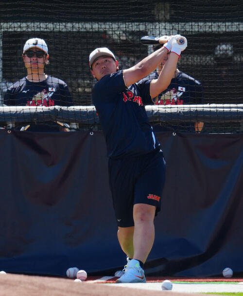 打撃練習する岡本(撮影･垰建太)