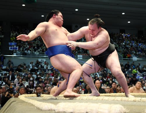 安青錦(右)は藤ノ川を押し出しで破る(撮影･上山淳一)