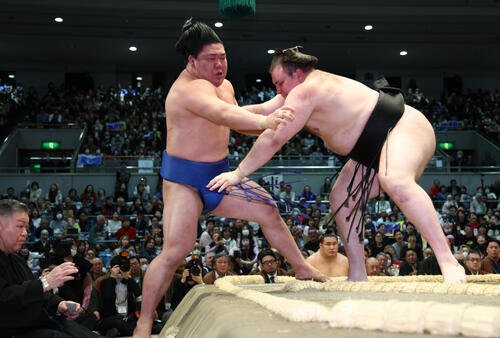 安青錦(右)は藤ノ川を押し出しで破る(撮影･上山淳一)