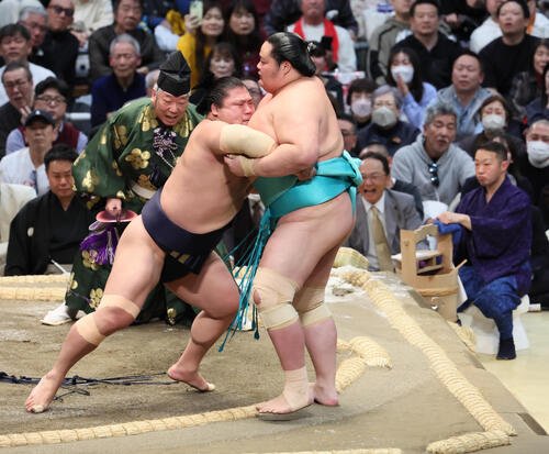 若隆景(左)は琴桜を寄り切りで破る