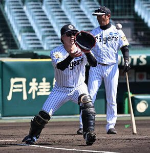 内野のボール回しをする阪神伏見(撮影･和賀正仁)