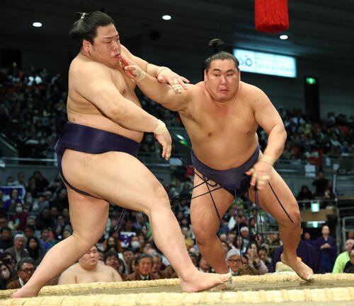 豊昇龍(右)は平戸海を押し出しで破る(撮影･上山淳一)