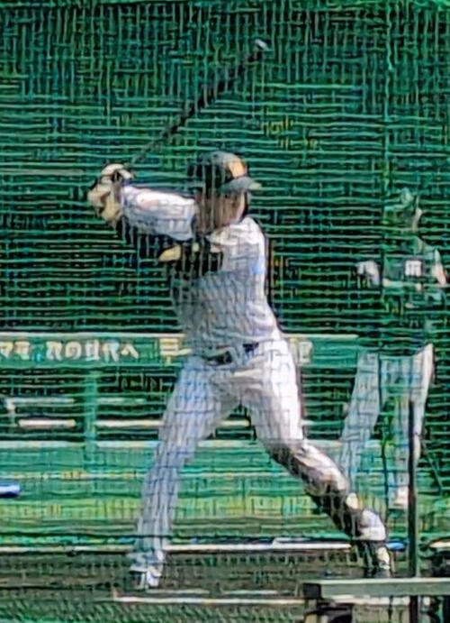 実践形式の練習で打席に入る阪神立石