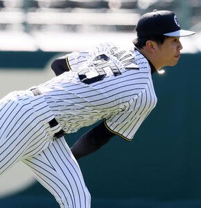 投手の指名練習でキャッチボールする阪神才木(撮影･加藤哉)