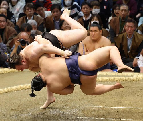 大相撲春場所10日目　安青錦(左)は平戸海を上手投げで破る(撮影･上田博志)