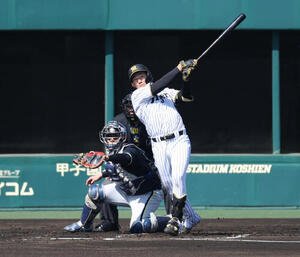 ファーム･リーグ西地区阪神対オリックス　2回裏阪神無死一塁、立石は左前打を放つ(撮影･白石智彦)