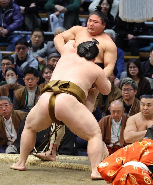 若元春は王鵬に寄り切られる(撮影･上田博志)