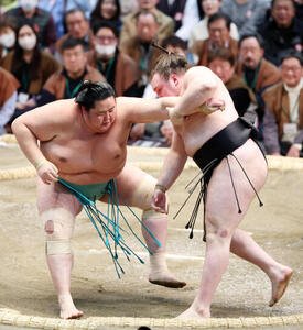 琴桜(左)を攻める安青錦(撮影･鈴木正人)　