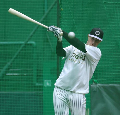 バッティング練習する阪神ルーカス(撮影･白石智彦)
