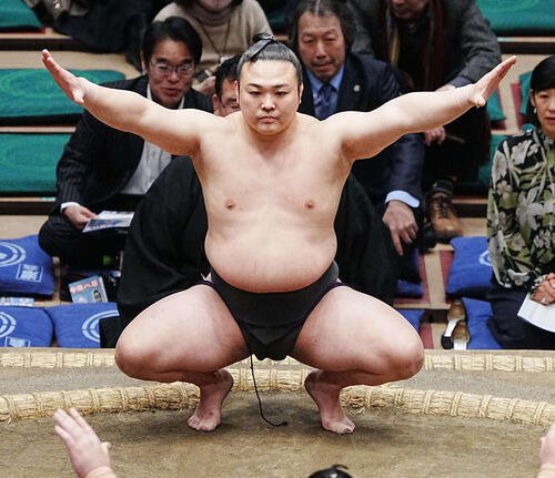 炎鵬(2026年1月撮影)