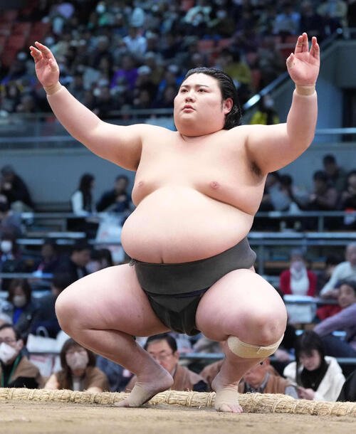 大花竜(25年3月撮影)