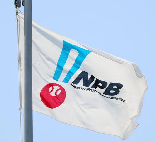 NPB旗