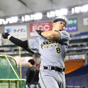 打撃練習をする佐藤(撮影･上田博志)