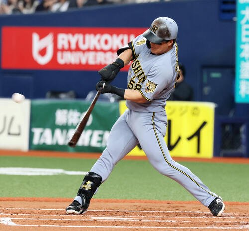 阪神前川右京(2026年3月24日撮影)