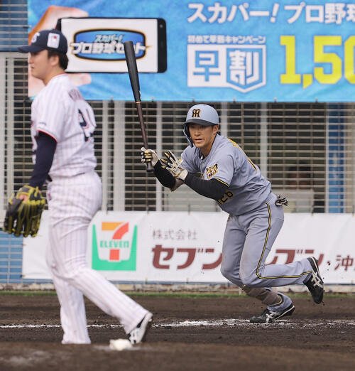 阪神福島圭音(26年2月撮影)