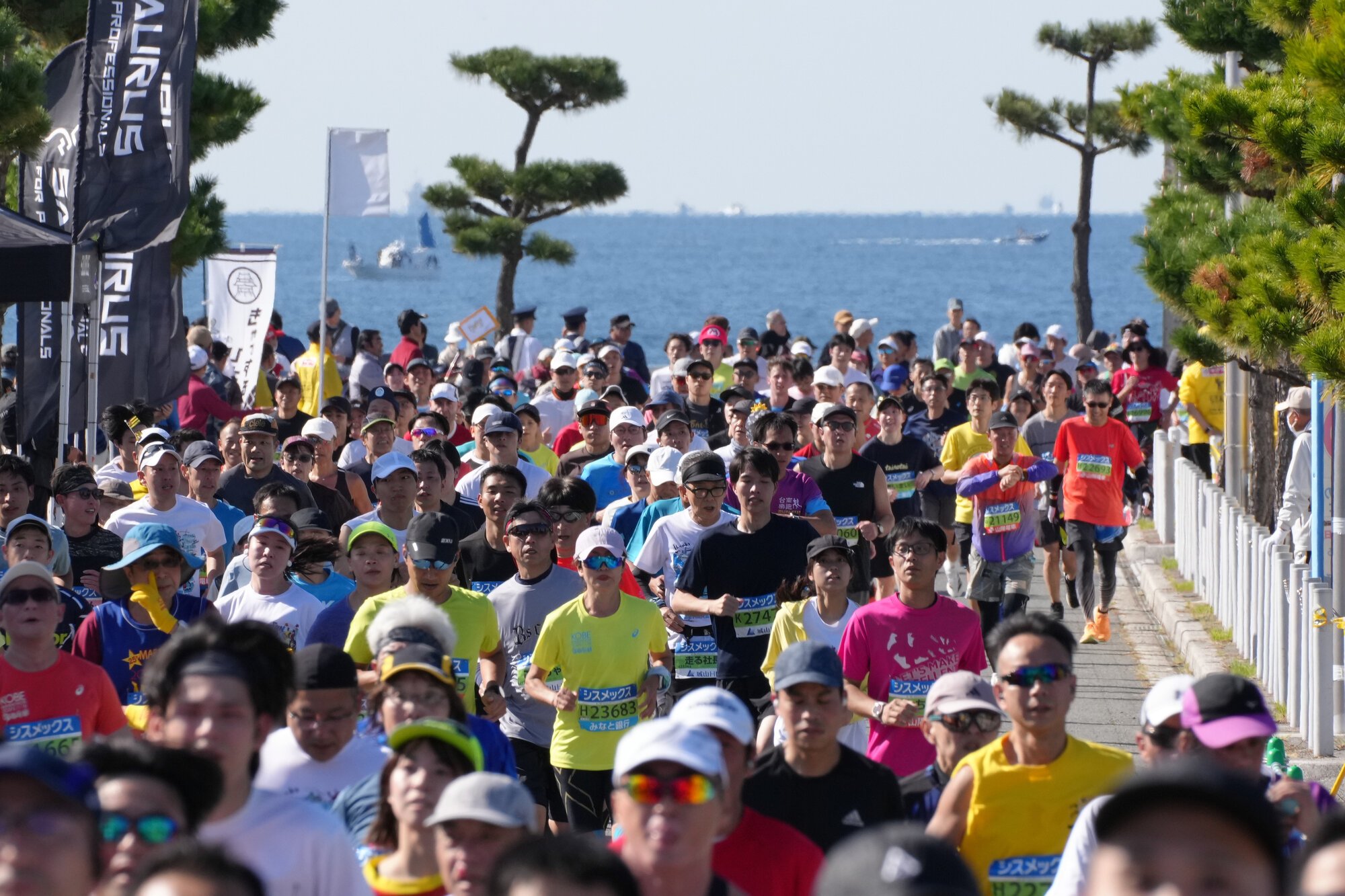 昨年の神戸マラソン。瀬戸内海を背景に走るランナーたち=2025年11月16日、兵庫県明石市