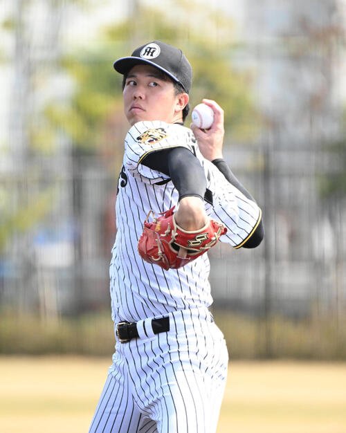 キャッチボールをする阪神才木(撮影･石井愛子)