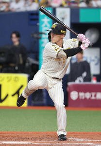 阪神対DeNA 7回裏阪神無死、プロ初打席に立つ福島(撮影･西尾就之)