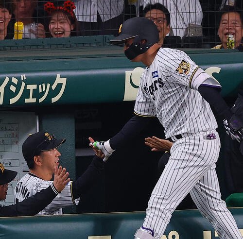 26年4月17日　阪神対中日　7回裏阪神1死、勝ち越しソロ本塁打を放った森下をハイタッチで出迎える藤川監督(撮影･上田博志)