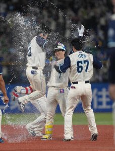 ヤクルト対巨人　9回裏ヤクルト1死三塁、長岡(中央)はサヨナラ打を放ち祝福される(撮影･足立雅史)