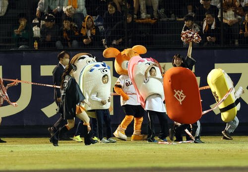 巨人対中日　すしレースはエビが勝利した(撮影･浅見桂子)