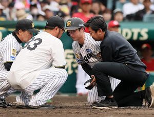 阪神対広島　8回裏阪神1死、死球を受け左手首付近をトレーナーに支えられる近本光司(撮影･加藤哉)