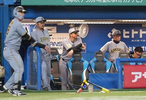 ヤクルト対阪神　厳しい表情で戦況を見つめる阪神藤川球児監督(中央)(撮影･足立雅史)