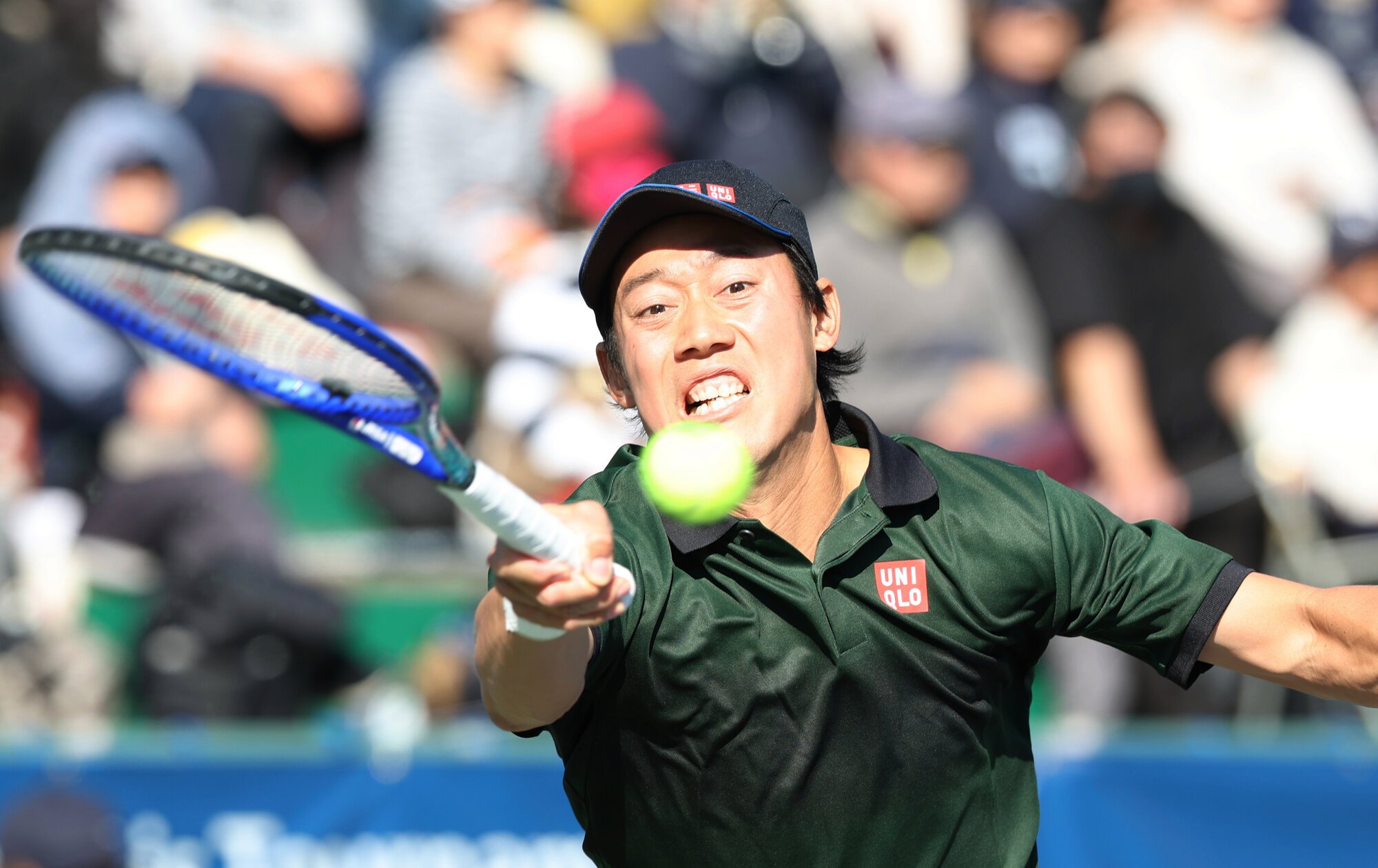2025年11月の慶応チャレンジャーで、ライン際のボールに飛びつく錦織圭=吉田耕一郎撮影