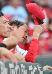 広島対中日　8回裏広島、ベンチの新井貴浩監督(撮影･加藤孝規)