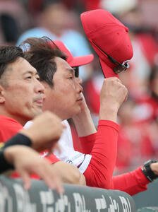 広島対中日　8回裏広島、ベンチの新井貴浩監督(撮影･加藤孝規)