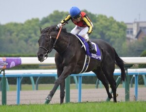 天皇賞･春を制したクロワデュノールと北村友一騎手