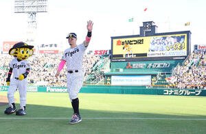 阪神対DeNA　ヒーローの佐藤輝明はファンの歓声に応えながらベンチに引き揚げる(撮影･上田博志)