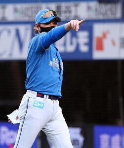 ロッテ対日本ハム　スタンドを指さす日本ハム新庄剛志監督(撮影･浅見桂子)