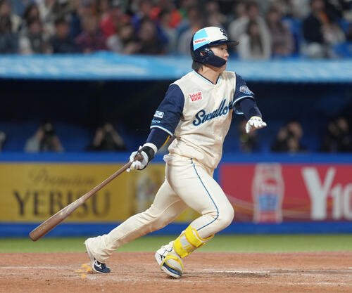 ヤクルト長岡秀樹(2026年4月撮影)