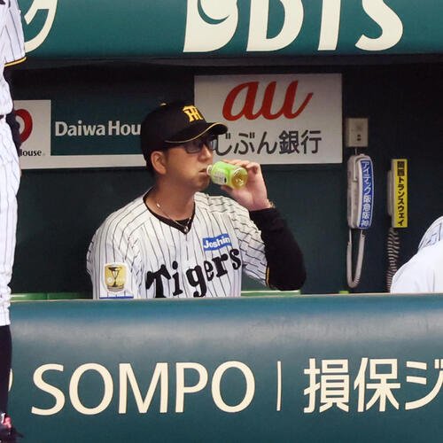 阪神対広島　3回表、ベンチで水分補給する阪神藤川球児監督(撮影･加藤哉)