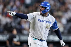 レイエス快打、グラシアス！　日本ハム5―4西武　プロ野球