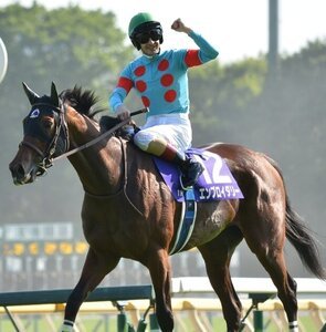 ヴィクトリアマイルを制したエンブロイダリーとルメール騎手